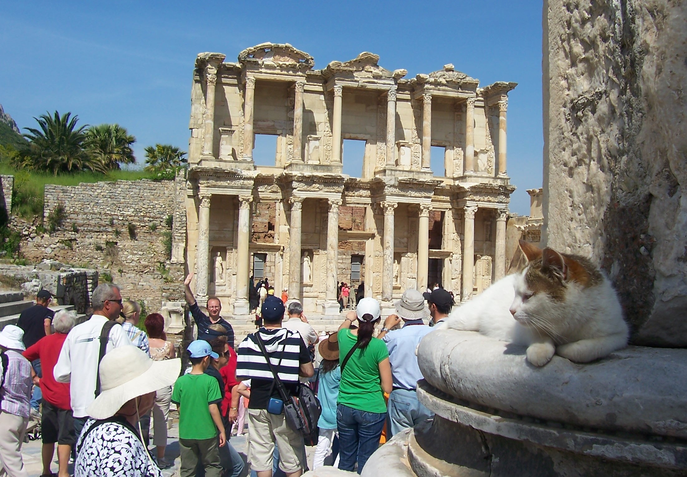 How long to wait to date. Centuries maybe