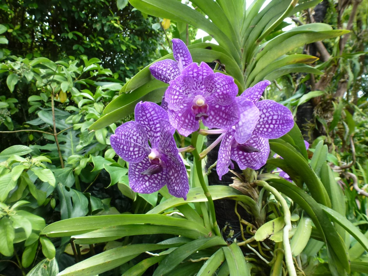 Widow guilt. Dating a deceased friend’s&nbsp;husband