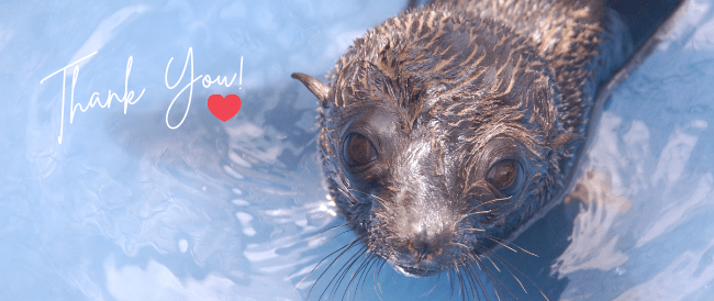 Younger single senior&nbsp;men