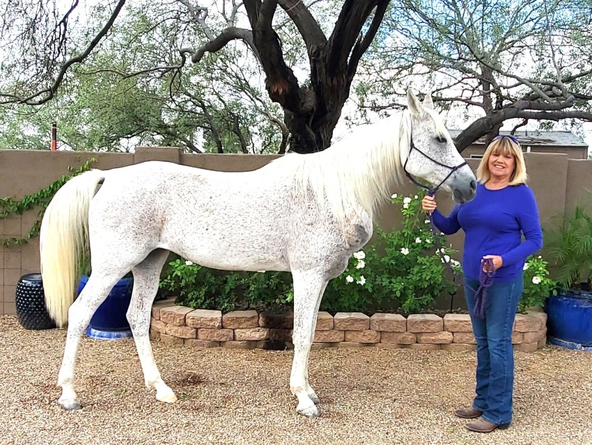 A woman with True&nbsp;Grit